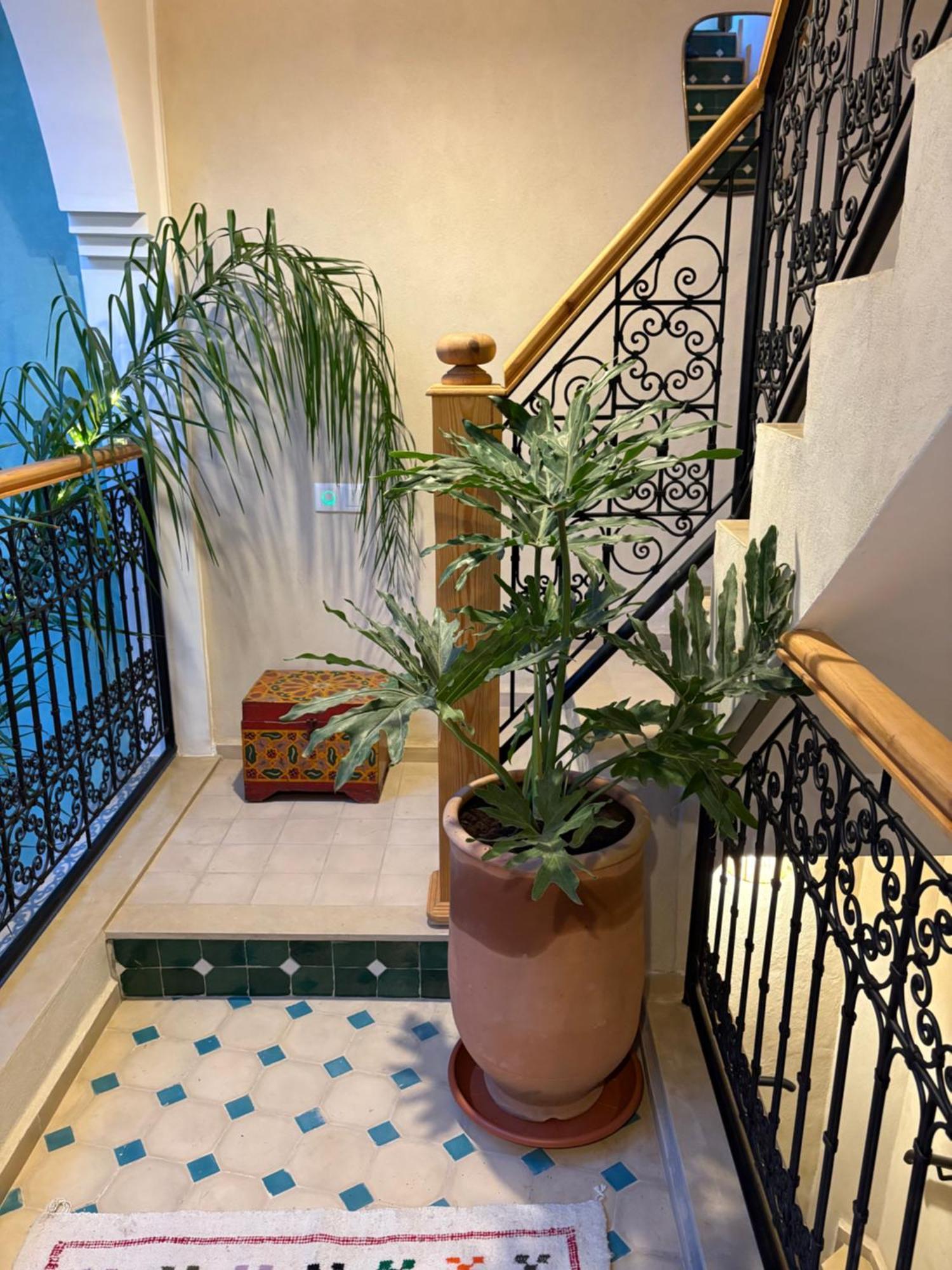 Riad212 Private Medina Fast Wi-Fi Plunge Pool Marrákes Kültér fotó